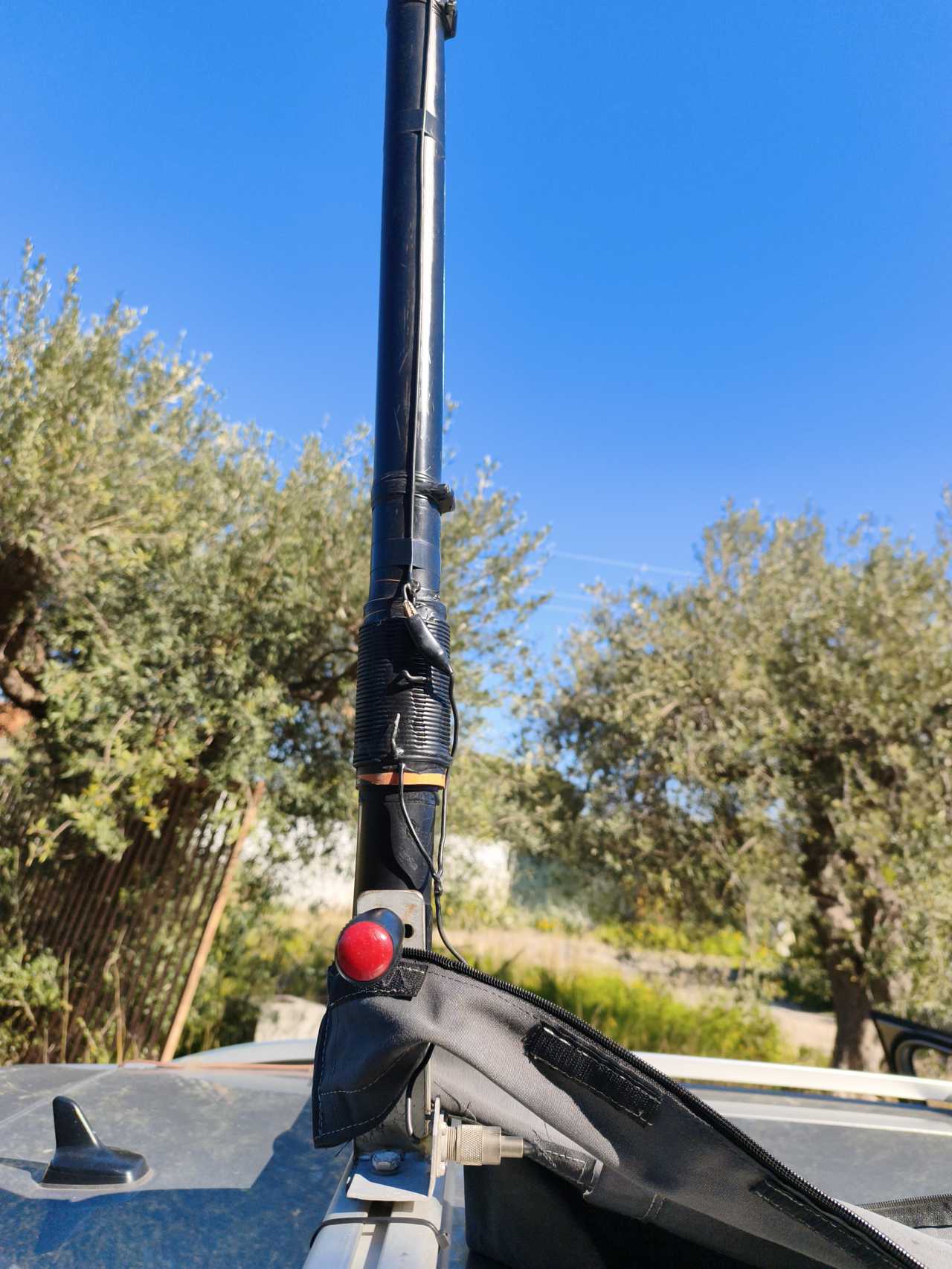 IFF2511 (4).jpg